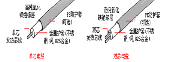 點伴熱帶結構
